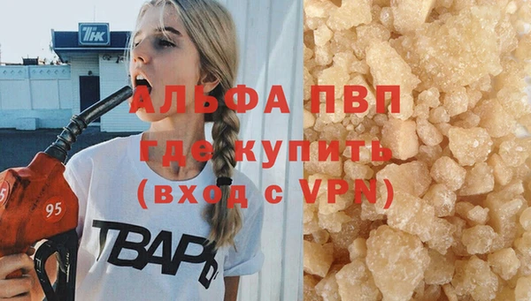 первитин Богданович