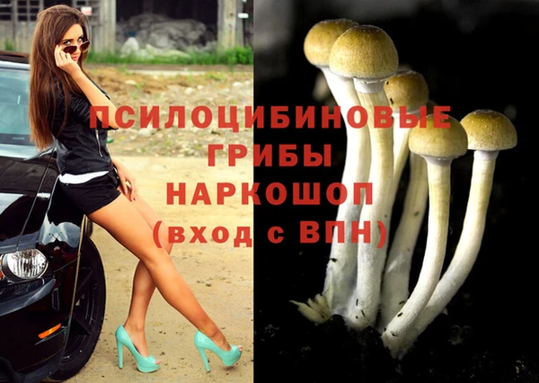 каннабис Арсеньев