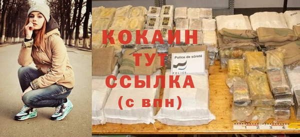 первитин Богданович