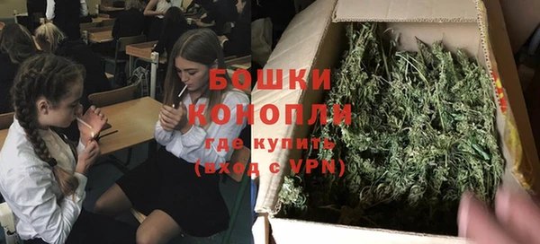 первитин Богданович