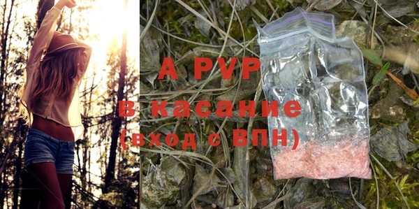 первитин Богданович