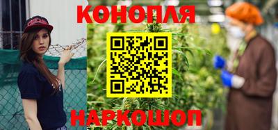 сатива Кимры