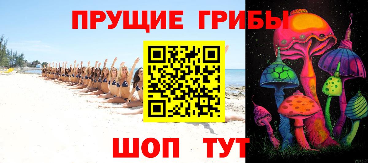 Псилоцибиновые грибы Psilocybine cubensis Мурманск